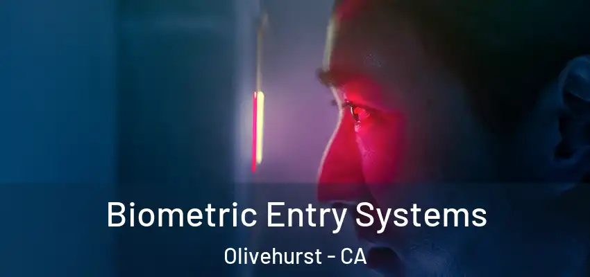 Biometric Entry Systems Olivehurst - CA