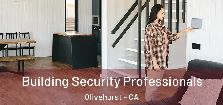  Building Security Professionals Olivehurst - CA