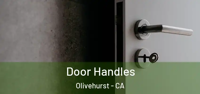  Door Handles Olivehurst - CA