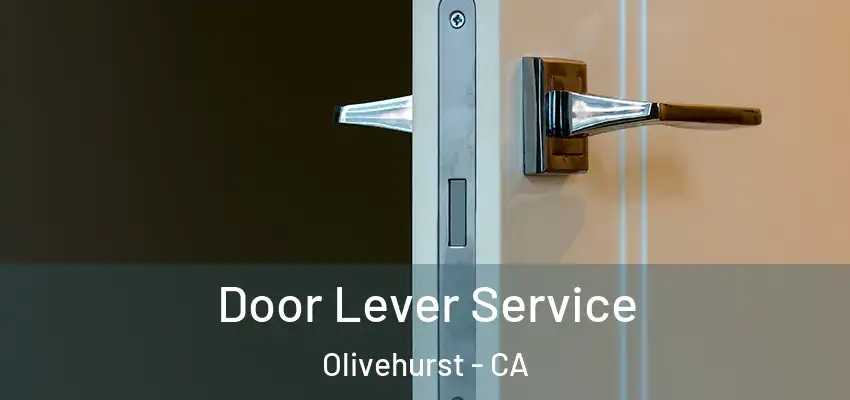 Door Lever Service Olivehurst - CA