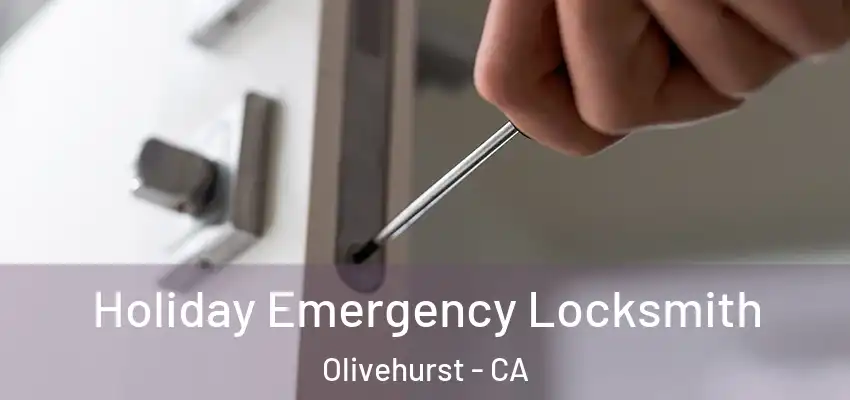  Holiday Emergency Locksmith Olivehurst - CA