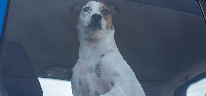 Car Lockout Solutions in Olivehurst, California