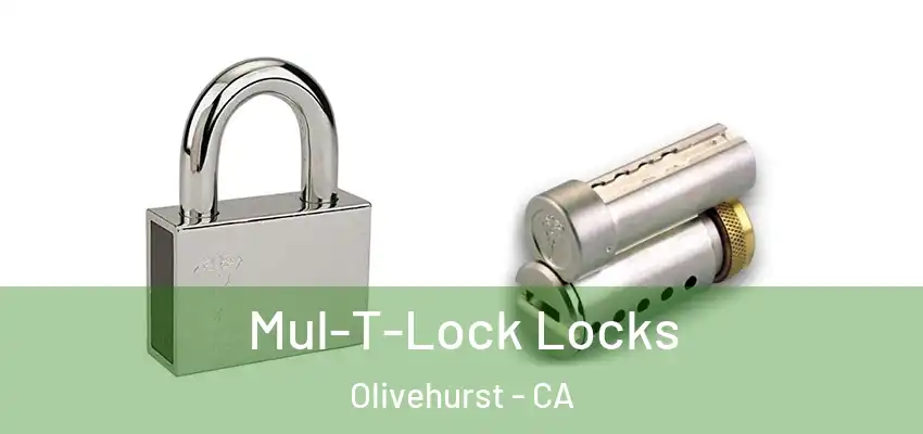  Mul-T-Lock Locks Olivehurst - CA