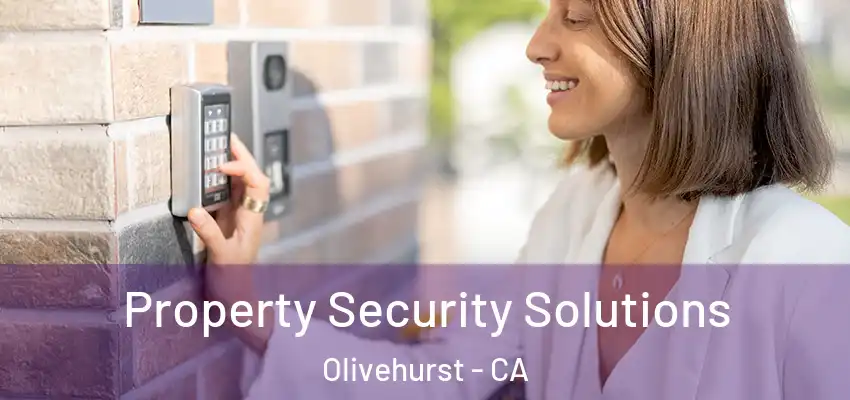  Property Security Solutions Olivehurst - CA