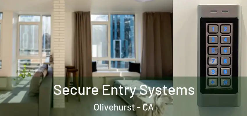  Secure Entry Systems Olivehurst - CA